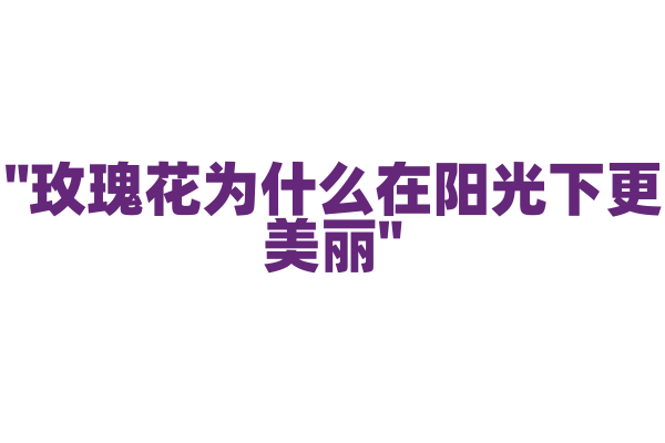 "玫瑰花为什么在阳光下更美丽"